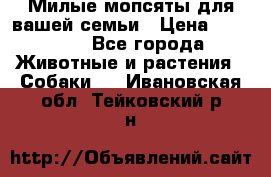 Милые мопсяты для вашей семьи › Цена ­ 20 000 - Все города Животные и растения » Собаки   . Ивановская обл.,Тейковский р-н